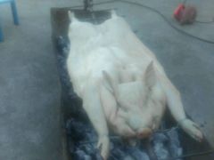 -老字号黄妹火盆烧烤