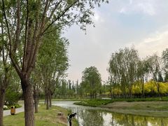 -东郊湿地公园