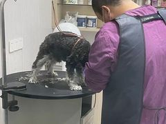 -宠颐生动物医院·小陆分院