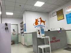 -美美宠物诊疗中心·异宠·骨科(滨江东信分院)