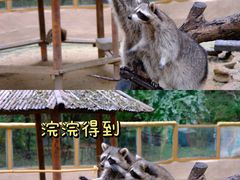 -济南野生动物世界