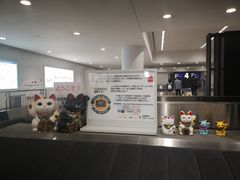 -中部国际机场