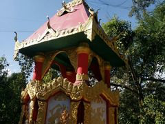 -瑞丽独树成林风景区