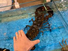 -渔公码头·九龙湾国际饭店