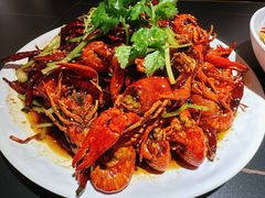 -京悦南门涮羊肉·羊蝎子火锅(田林路店)