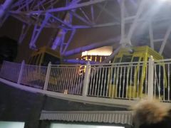 -锦江乐园舞狸花花游园会(夜场专享)