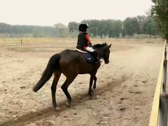 -月河湾马术俱乐部(朝阳店)