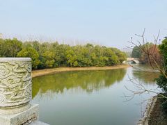 -上海海湾国家森林公园