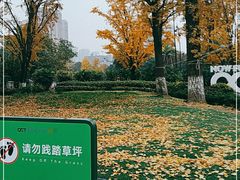 -成都欢乐谷