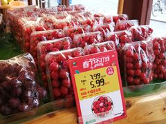 -百果园PAGODA(西四地铁站店)