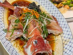 -禄福山庄•顺德菜·融和菜(龙江店)