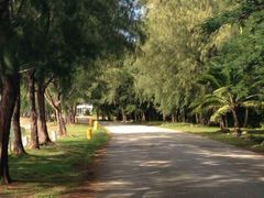 android_upload_pic-美国纪念公园