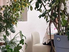 -Wood Garden(合生汇店)