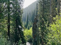 -新疆那拉提国家旅游度假区