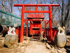 -宫城藏王狐狸村