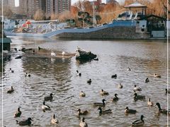 -团结湖公园