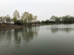 -东郊湿地公园