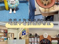 -泰洋动物医院·神经专科·磁共振·CT(天河公园总院)