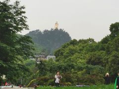 -南山植物园