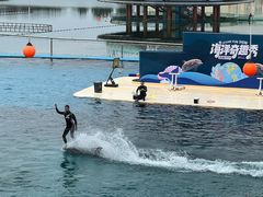 -秦皇岛乐岛海洋王国