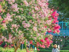 -杭州城北体育公园