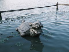-昆山城市生态森林公园
