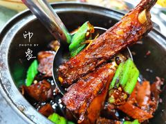 -新峰肉骨茶