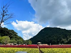 -广州市石门国家森林公园