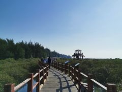 -北海金海湾红树林生态旅游区