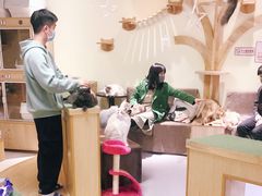 -猫和宫(六道口店)