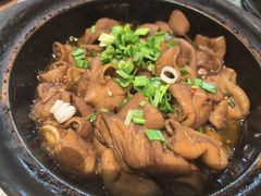 红烧大肠煲-阿龙酒煲(海宁新苑路店)