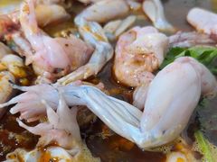 -大江美蛙鱼火锅(都江堰店)