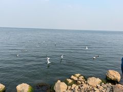 -大理洱海