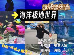 -泉城欧乐堡海洋极地世界