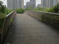 -南翔镇银翔湖公园
