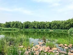 -秀水公园