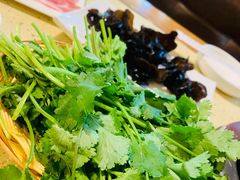 -徐记手切鲜羊肉(辽沈二街店)