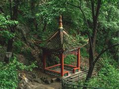 -黔灵山公园