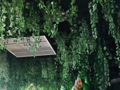 -绿色星球动物主题公园