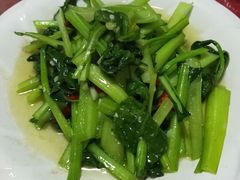 -蜀香园川菜馆(巴音酒店店)
