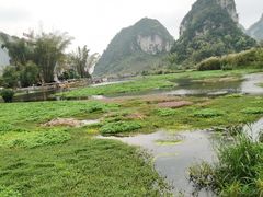 -靖西鹅泉风景区