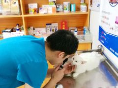 -pd派德宠物中心医院24H急重症·眼科中心·血液透析中心(嵩山北路店)