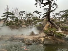 -罗红摄影艺术馆