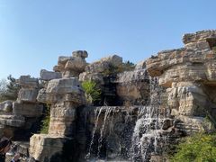 -石家庄市植物园