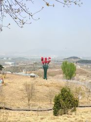 -密云玫瑰情园