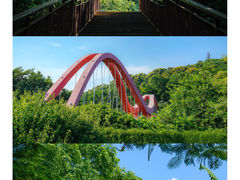 -玉树公园