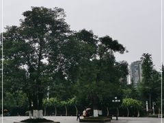 -龙头寺公园