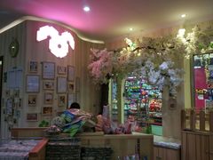 -宠物兔专门店(天丰利市场店)