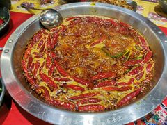 经典谭公红锅-谭鸭血老火锅(七宝万科广场店)