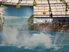 -尼莫海豚馆